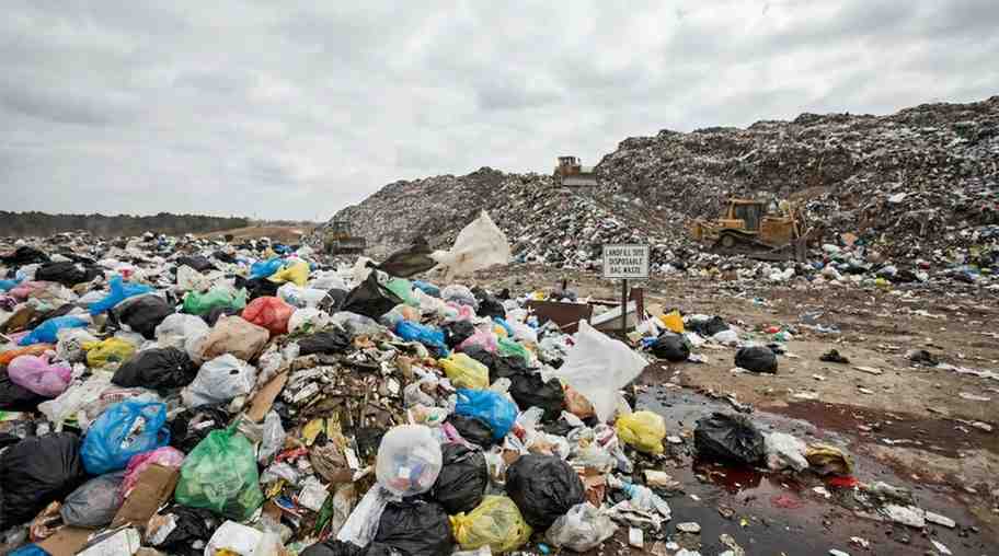 Plastic bags polluting land, water, and affecting wildlife, illustrating environmental hazards and the importance of sustainable alternatives.