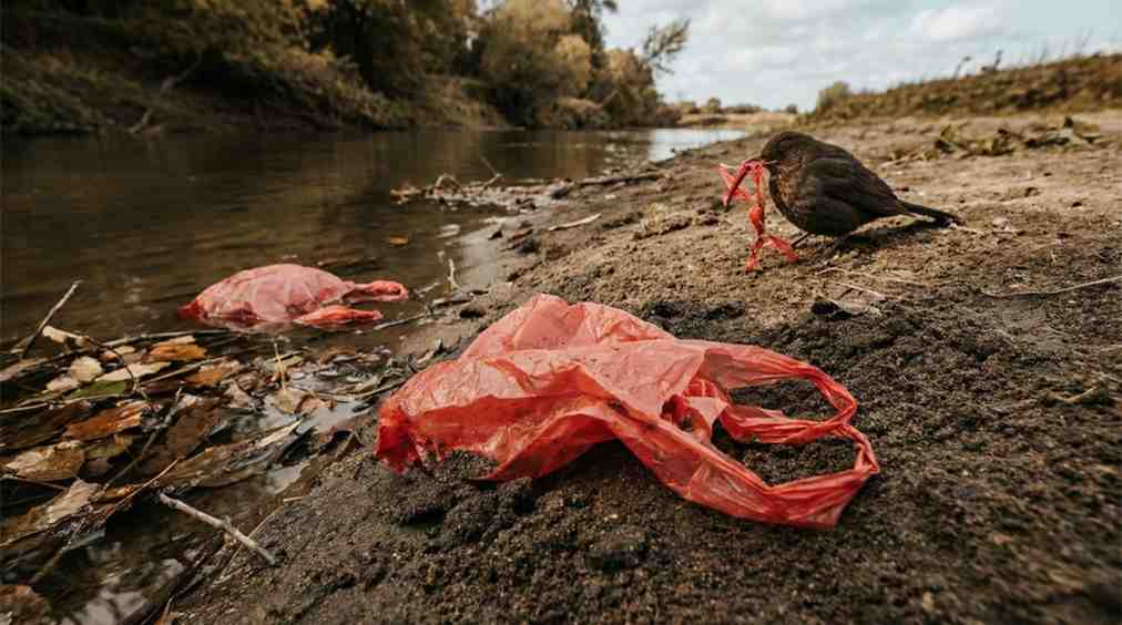 Red plastic bags polluting land and water and posing a threat to wildlife and natural ecosystems